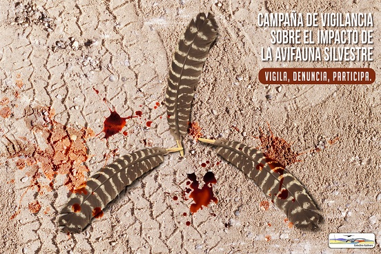 Campaña de Vigilancia Ambiental en los parques eólicos del Sureste de Ávila ubicados en la ZEPA de Campo Azálvaro-Pinares de Peguerinos.