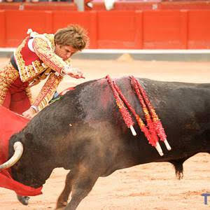 En Galicia quieren que la Ley de Bienestar Animal incluya el veto a las corridas de toros