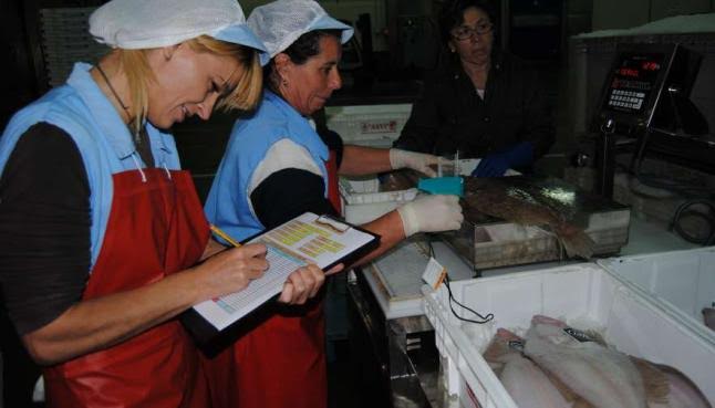 Solicitan reducir las capturas de gallo para la flota comunitaria en 2016