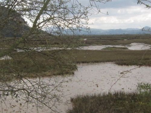 Cantabria. Aprobado el documento de referencia de la Evaluación Ambiental Estratégica del PORN de las Marismas de Santoña