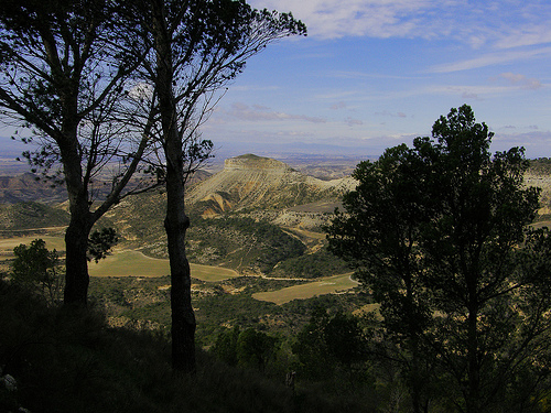 Alcampo y WWF se unen para la restauración forestal de una zona natural degradada