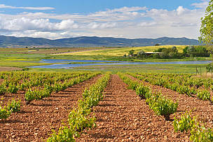 La agricultura 3.0 ahorra 1.000 millones de litros de agua para las Tablas de Daimiel