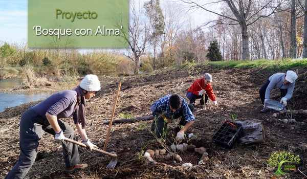 Mejoran el entorno plantando un pequeño bosque en el Parque Natural del Turia en  Valencia