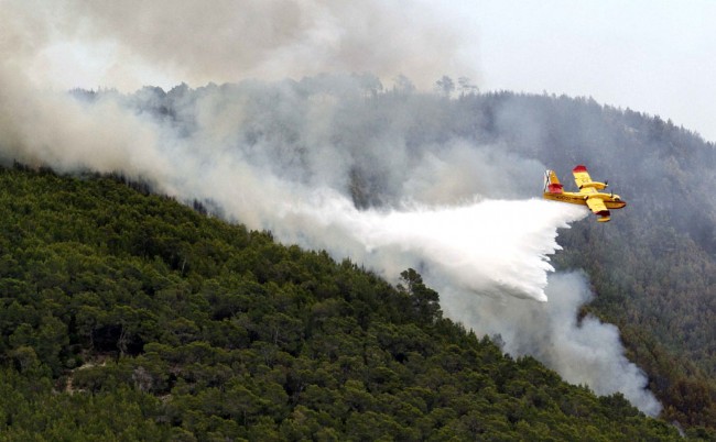 El fuego de Alicante