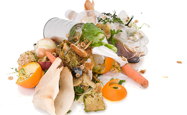 Madrid separará los residuos orgánicos