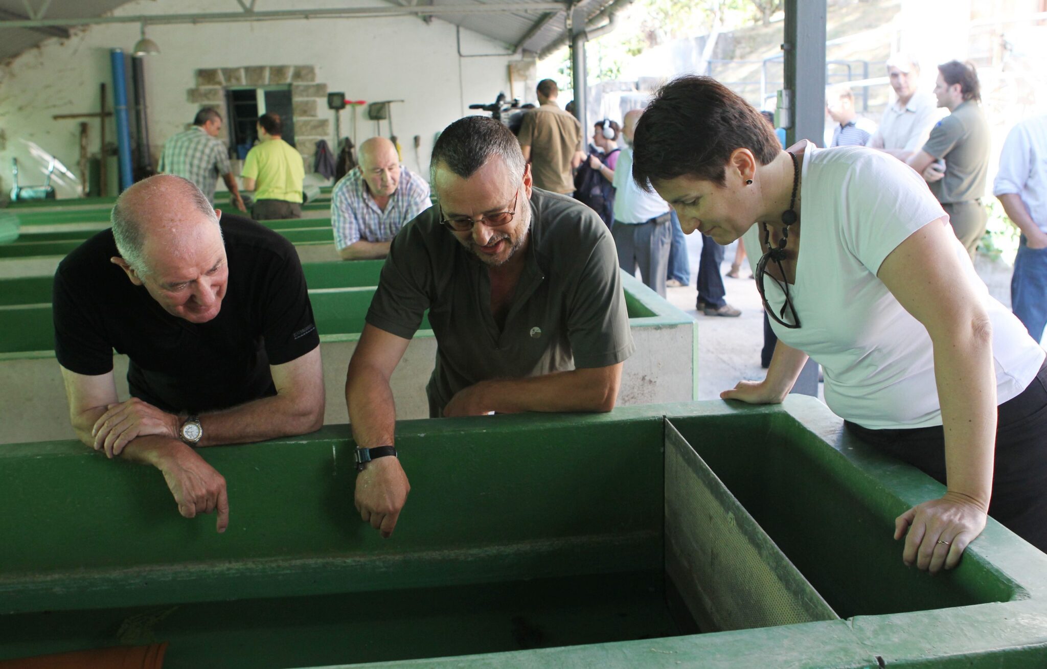 La recuperación del cangrejo autóctono podría permitir su pesca en un plazo de cinco años