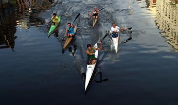 Nuevo ensayo para evaluar la toxicidad de aguas