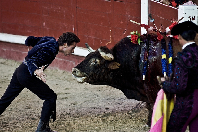 El maltrato animal seguirá presente en la televisión pública