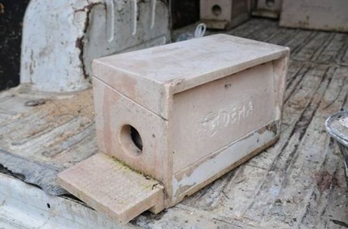 Alcalá de Henares instala 20 nuevos nidales de cernícalo primilla en el recinto del Palacio Arzobispal