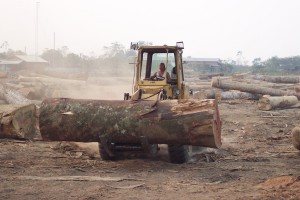 A pesar de los avances