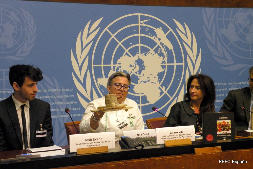 En el Día Internacional de los Bosques