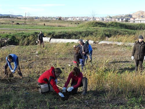 El plazo para participar en el programa de voluntariado ambiental Plantabosques se abre este lunes