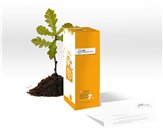 FYM invirtió en 2009 un total de 29