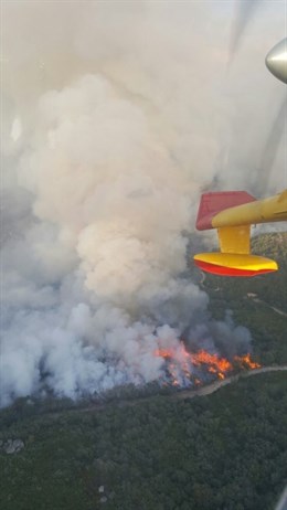 Financiación para restaurar las áreas afectadas por los incendios forestales en León y Orense