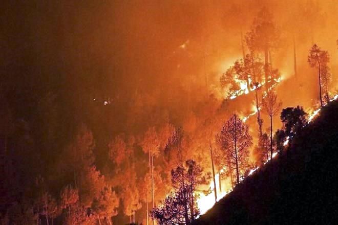 Nepal y el norte de India sumidos en los peores incendios forestales de la década