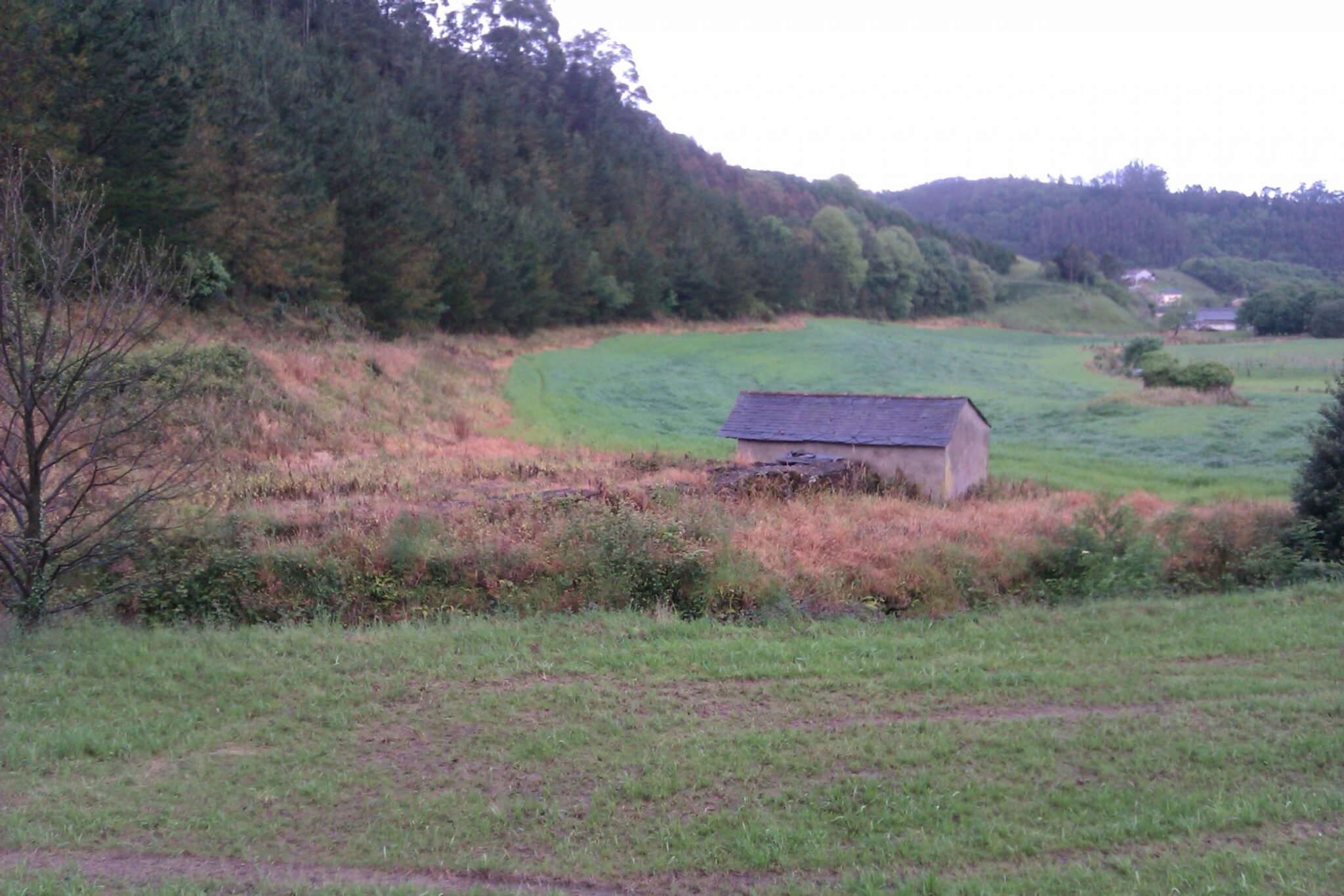 Asturias. Tratan con herbicida el cauce de un reguero en el Franco