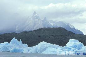 Colaboran en mitigar cambio climático