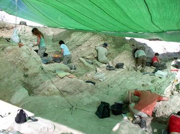 Descubren un felino que vivió hace 9 millones de años en Madrid