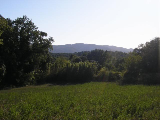 Detenido el presunto autor del incendio que amenazó el macizo de Les Gavarres (Gerona)