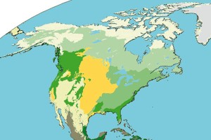 Según nuevas investigaciones