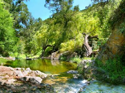 La biodiversidad ‘no está en venta’