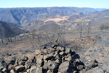 Valencia. Alegaciones a nuevas declaraciones de Zonas de Especial Conservación