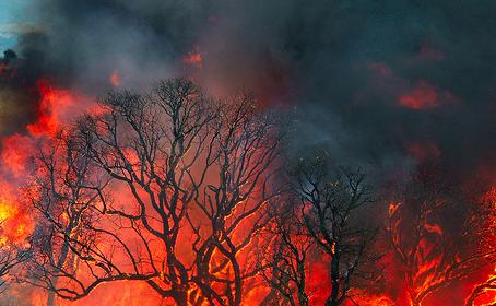 Se reaviva el incendio en la montaña que separa a Caracas del mar Caribe