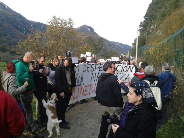 Asturias.  Por la libertad de la osezna molinera