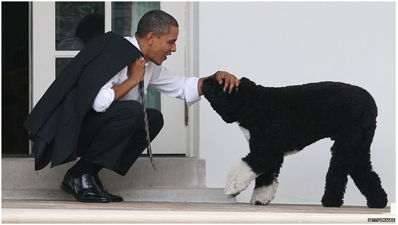 Nuevas especies nombradas en honor a Obama