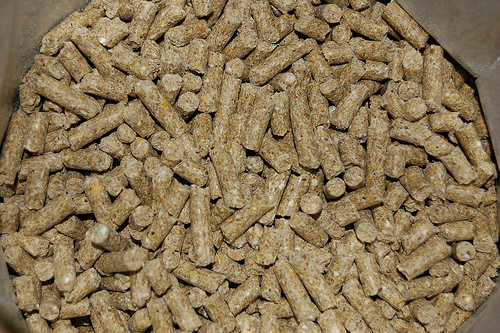 Extremadura. Ence asegura que la moratoria a las renovables no afectará a su futura planta de Mérida