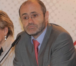 Atienza advierte de que España precisa de una red eléctrica "mucho más robusta" para conseguir un mix "más sostenible"