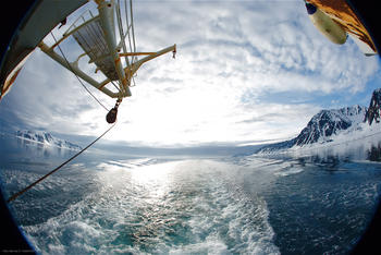 Lanzarán una red mundial para el intercambio de datos sobre carbono azul