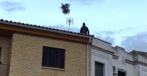 La ‘aberración’ del lanzamiento de la pava de Cazalilla