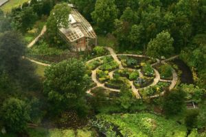 Parque Tantauco reforesta 46 hectáreas con bosque nativo