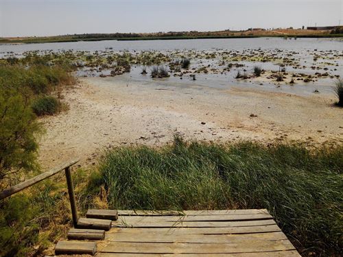 Cómo convertir un basurero en una laguna ecológica