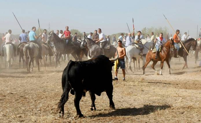 Elegido muere cruelmente en la vega de Tordesillas