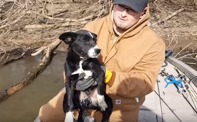 VIDEO: ‘al rescate de un perro en peligro’
