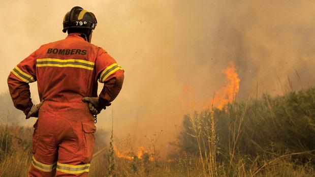 29.300 hectáreas de la Red Natura 2000 calcinadas en los incendios forestales de Valencia