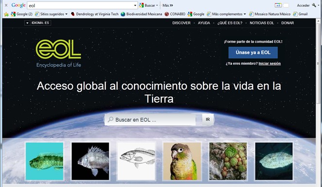 Enciclopedia de la vida se Expande a una Velocidad Record