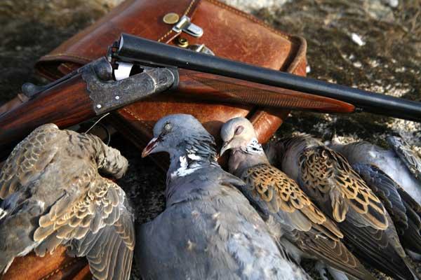 NO a la Ley de Parques Nacionales