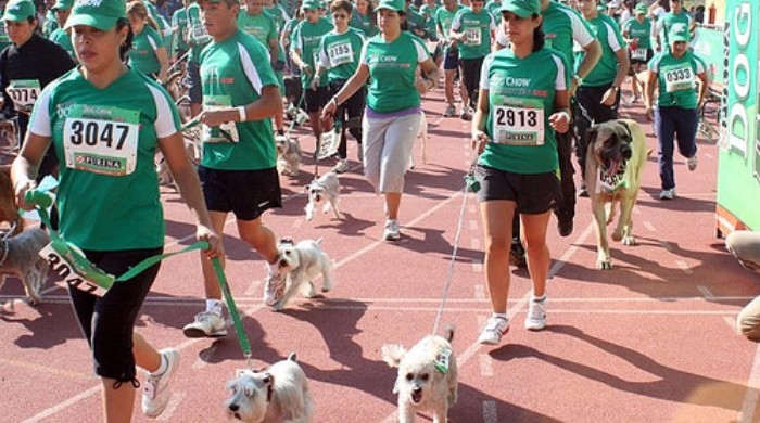 Madrid celebra este domingo la carrera solidaria Perrotón para promover la adopción de animales