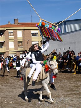 Qué eran las corridas de gallos
