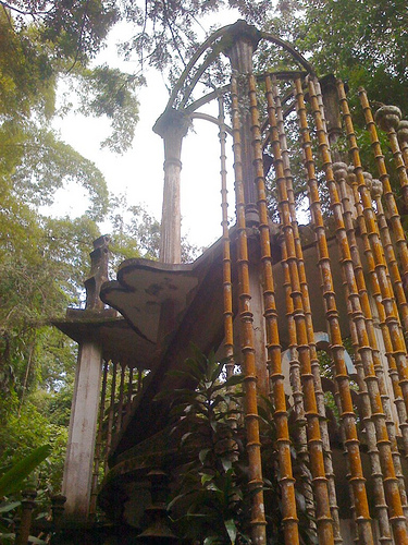 Alamacenes de bambú permitirán almacenar carbono de forma natural