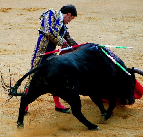 La Mesa del Toro estudia presentar un recurso de inconstitucionalidad porque no está "todo perdido"