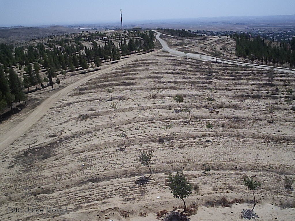 Un estudio adapta técnicas de recolección de agua para la restauración forestal