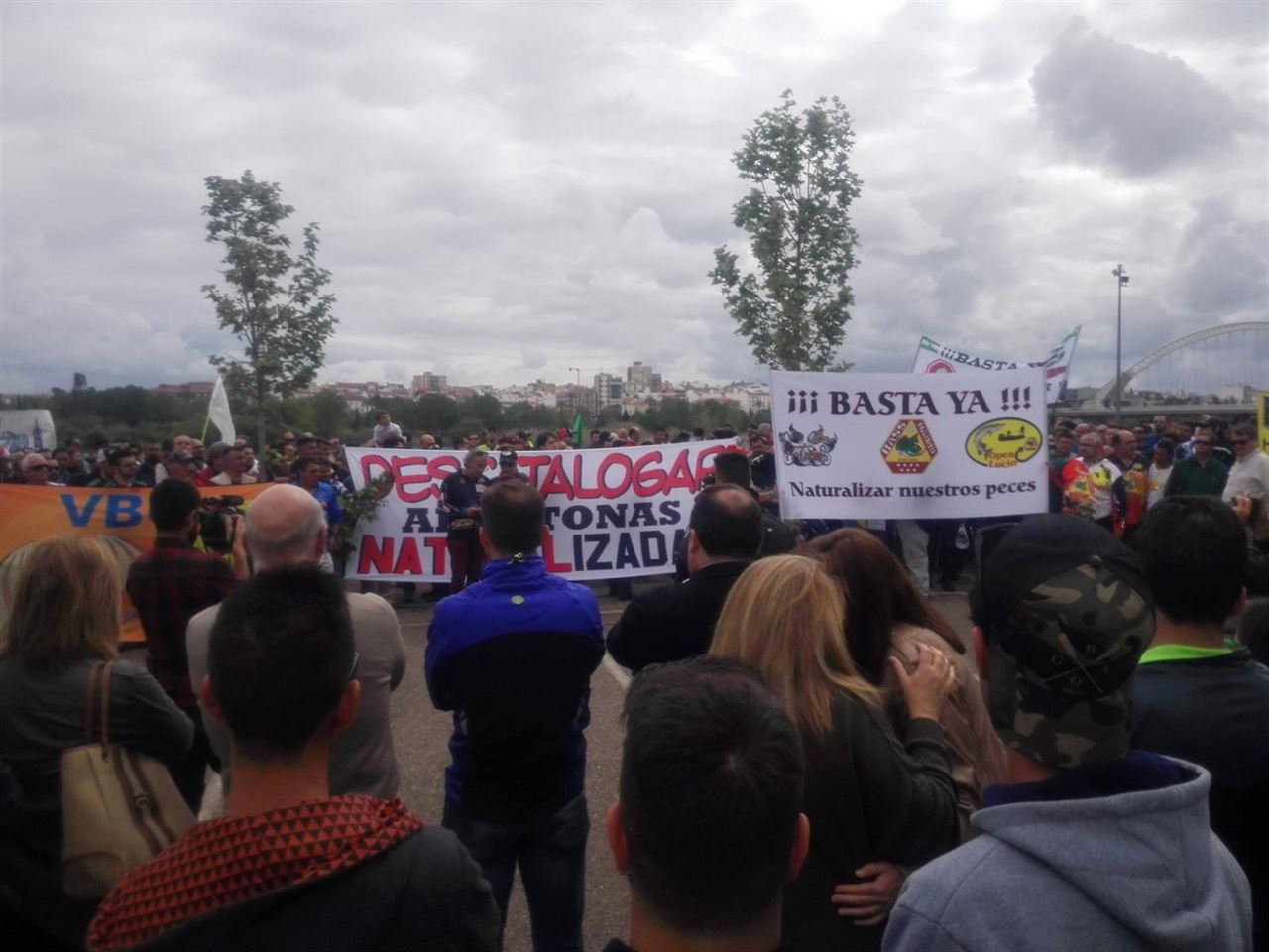 Los pescadores extremeños se movilizan contra la inclusión de la carpa como especie invasora