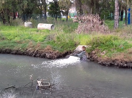 Abandono del Arroyo de Guadacorte