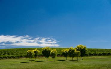 El mercado entra en su época estival con reducción de operaciones y con ligera subida