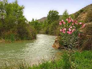 La Región de Murcia quiere incluir 62 humedales en el Inventario Nacional