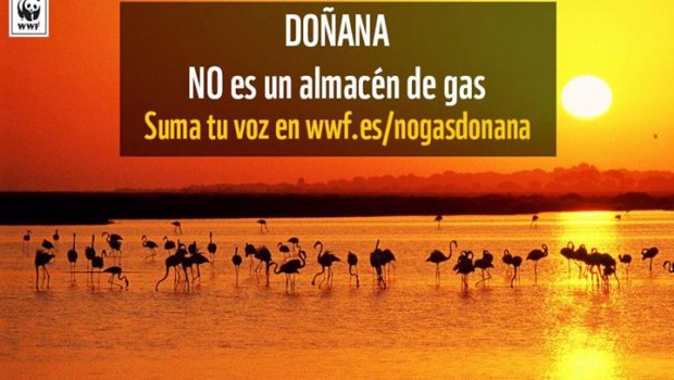 Gas Natural ‘empecinada’ en quitar hierro al almacén de gas en Doñana